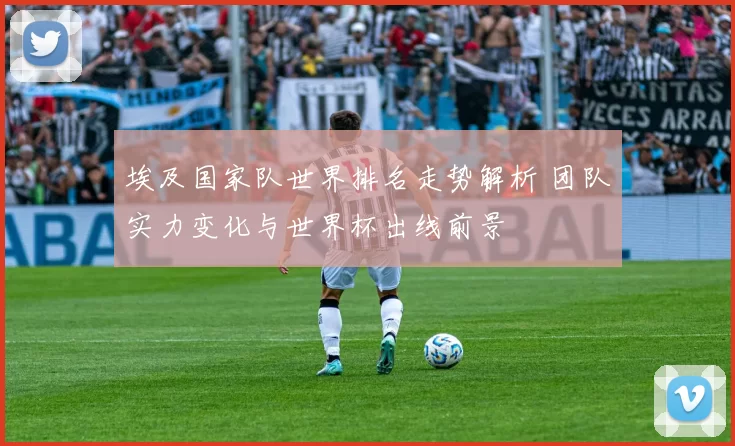 埃及国家队世界排名走势解析 团队实力变化与世界杯出线前景